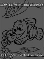 Nemo und Dory -16
